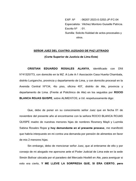 Escrito Nulidad De Actos Procesales Pdf Demanda Judicial Ley Procesal