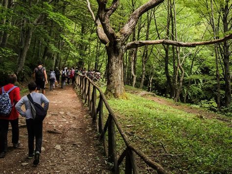 In Cammino Verso Il Santuario Della Verna Nel Parco Nazionale Delle