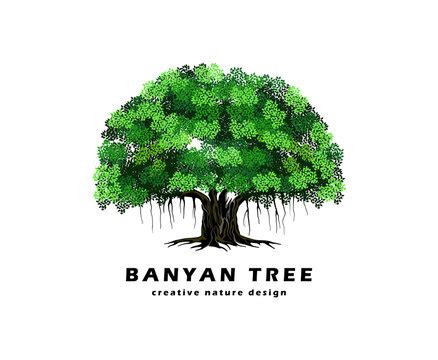 Banyan Tree Images – Browse 19,739 Stock Photos, Vectors, and Video ...