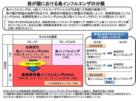 鳥インフルエンザに関する情報：農林水産省