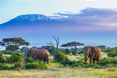 Quand Partir En Tanzanie Climat Temp Rature M T O Saisons O Et