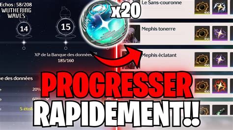 Invocations Standard Comment Progresser Rapidement Dans Wuthering