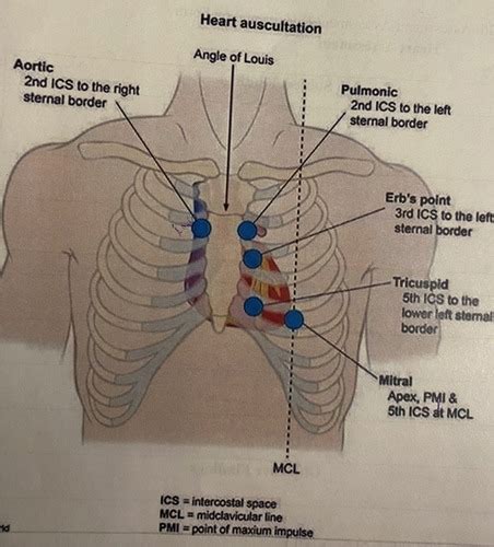 HA CLINICAL CHECK OUT Cardiovascular Flashcards Quizlet