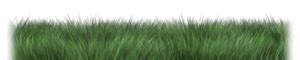 Long Flowing Grass | 3D Animated Clipart for PowerPoint ...