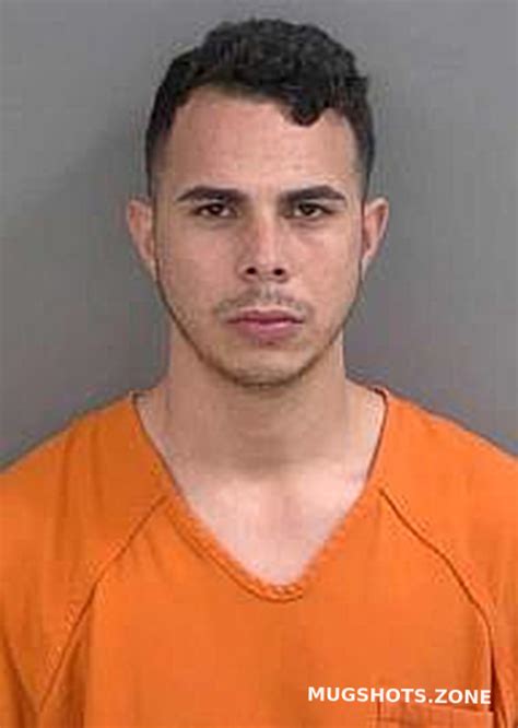 Navarro Ramos Yunior Collier County Mugshots Zone