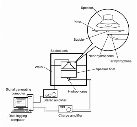 Computer Speaker Schematic Diagram - Circuit Diagram