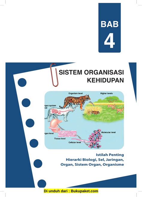 PDF SISTEM ORGANISASI KEHIDUPAN Marisekolah Commarisekolah