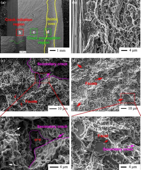 Sem Fractographs Of The S Impact Specimen A Macroscopic Fracture