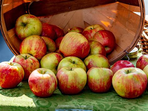 Delicious Apple Recipes | Autumn Park Apartments