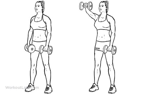 Forward / Front Dumbbell Raise | Illustrated Exercise guide - WorkoutLabs