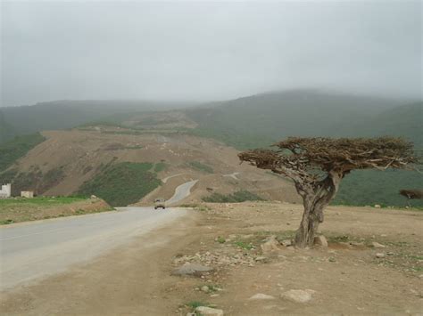 Places To Visit In Salalah Oman Amazing Oman