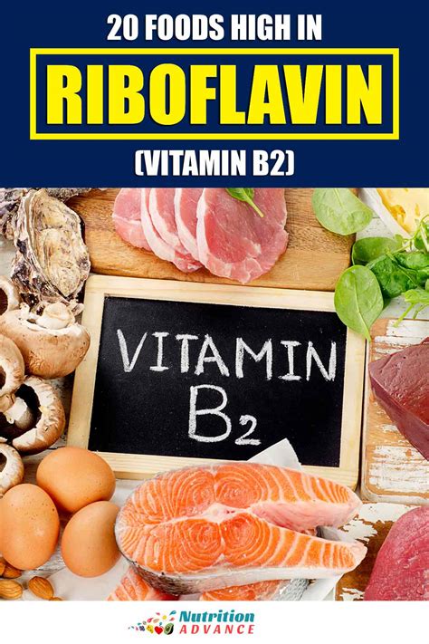 The Top 20 Foods High In Riboflavin Vitamin B2 Nutrition Advance