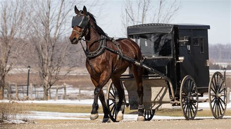 Buggy Buggy Alex S Asteroid Astrology Alex S Asteroid Astrology