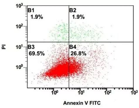 Commonly used cell apoptosis detection methods - product Infomation ...