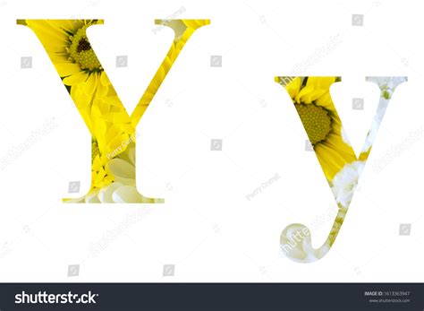 capital upper case  case letter stock photo  shutterstock