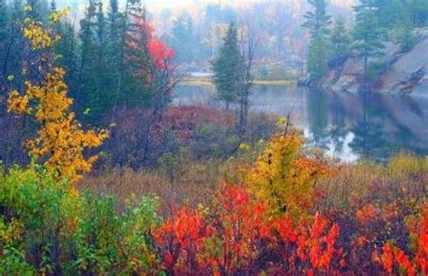 Just Does Not Get Any Prettier Then This As Fall Approach And The