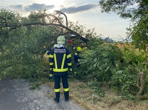 Baum über Straße Adersdorf Freiwillige Feuerwehr Wolfsbach