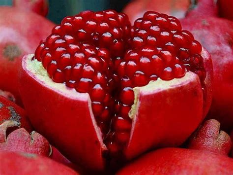 Tunisia Fruit Food Eat