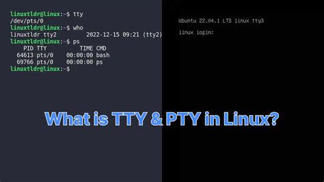 What Is TTY And PTY On Linux