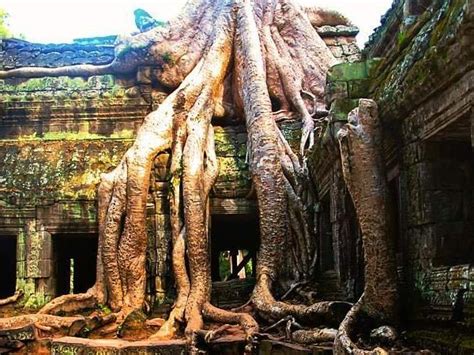 Vietnam And Cambodia Vacation Hanoi To Siem Reap Responsible Travel