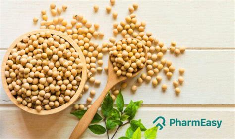 Soybean Uses Benefits Side Effects By Dr Rajeev Singh Pharmeasy Blog