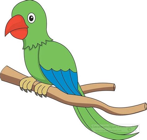 Central South America Tropical Birds Cartoon Vector Clipart, 47% OFF