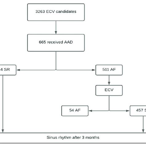 Selection Process Aad Antiarrhythmic Drugs Af Atrial Fibrillation