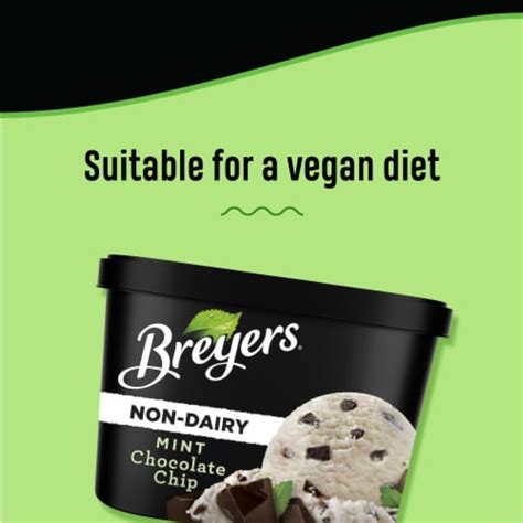 Breyers® Dairy Free Mint Chocolate Chip Frozen Dessert Tub 48 Oz Fry