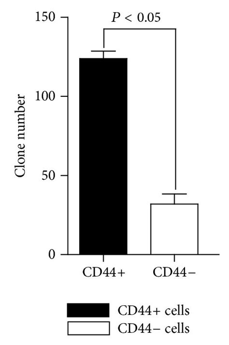 A Facs Sorting Results Of Cultured Mkn 45 Cells B Mtt Assay Download Scientific Diagram