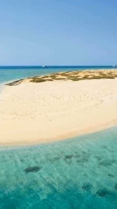 سر السعادة والهدوء راس البر Youtube