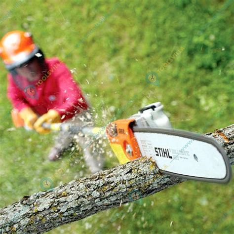 Longest Reach Stihl Pole Saw At Ronald Davis Blog