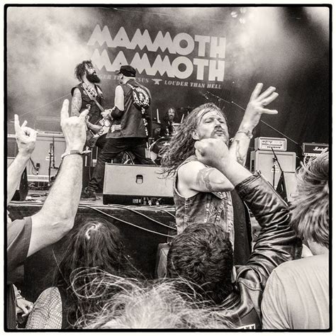 MAMMOTH MAMMOTH Clemens Mitscher Rock Roll Fine Arts Rock And Roll