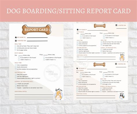 Dog Boardingsitting Report Card Template Etsy