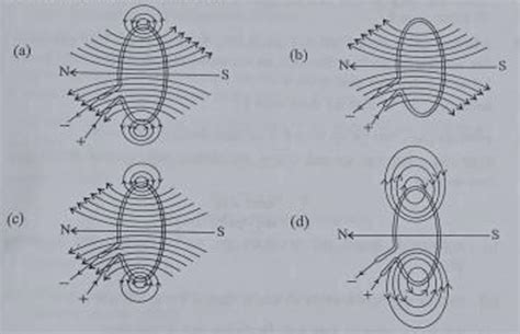 Class Science Exam Todays Term Question Paper Answer Key