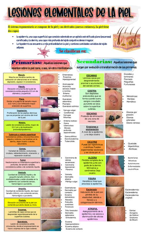Lesiones elementales de la piel - Se clasifican en: Primarias: Aquellas