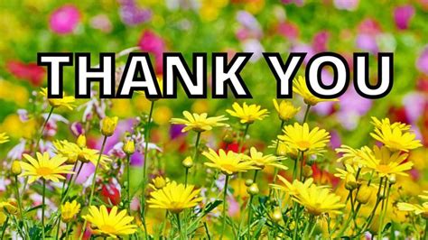 15 Nice Thank You Memes To Share Your Gratitude