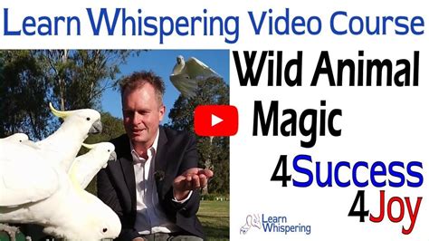 Learn Whispering video course to whisper & master core life skills