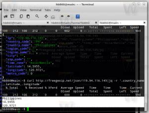 Get Geolocation Info Of IP Address In Bash In Linux