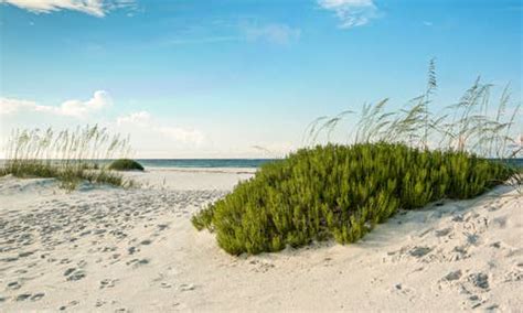 Seaside Vacation Rentals & Homes - Florida, United States | Airbnb