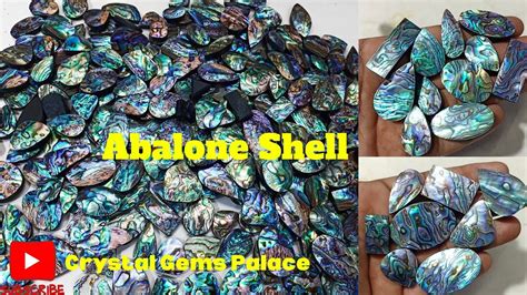 Abalone Shell Gemstone Crystals Trending Youtube Gemstones Viral