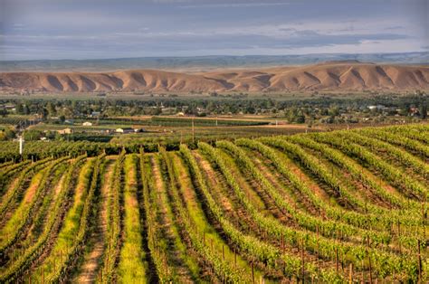 Exploring Washingtons Yakima Valley One Beverage At A Time Lonely Planet