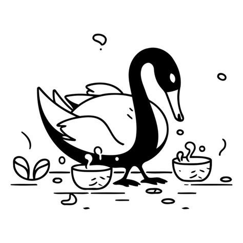 Black Swan Doodle Images Free Download On Freepik