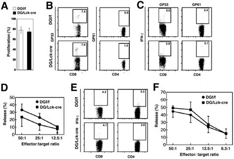 DG Lck Cre Mice Show T Cell Responses Equivalent To Those Of DGf F