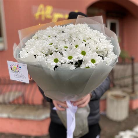 101 белая ромашка - 76 492 цветов в Ростове-на-Дону! Низкие цены от 189 ...