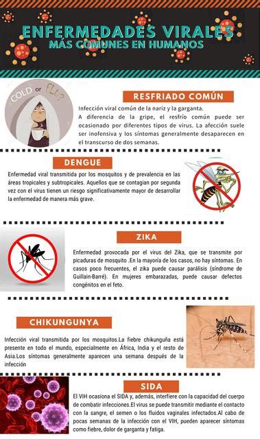 ENFERMEDADES VIRALES INFOGRAFÍA uDocz