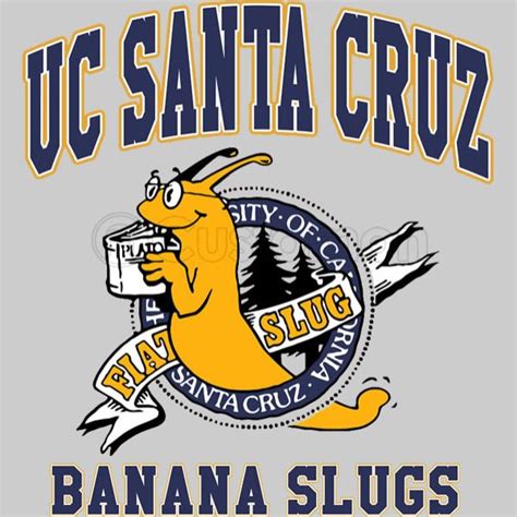 Uc Santa Cruz Logo 10 Free Cliparts Download Images On Clipground 2025