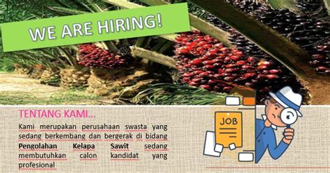 Info Loker Medan Terbaru Juni Di Perusahaan Pengolahan Kelapa