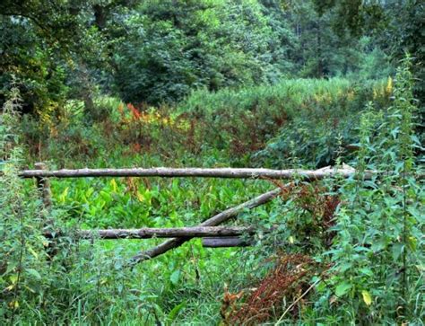 Fall Foliage - Garden Fences and Gates in Autumn