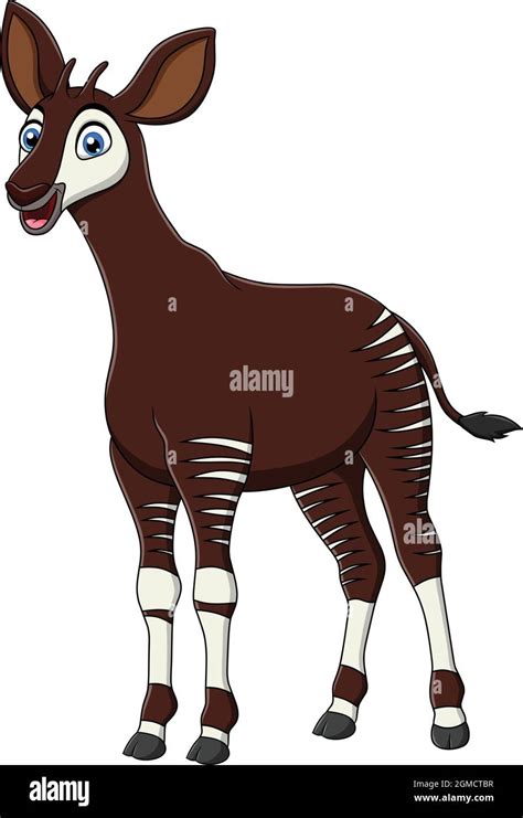 Ilustraci N Vectorial De Dibujos Animados Okapi Vector Gr Fico The