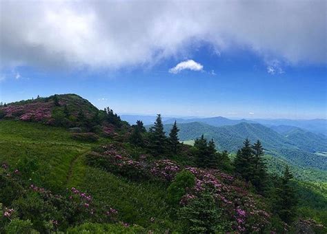 Roan Mountain Is A Hidden Gem Of Small Towns Plus Great Hiking In The